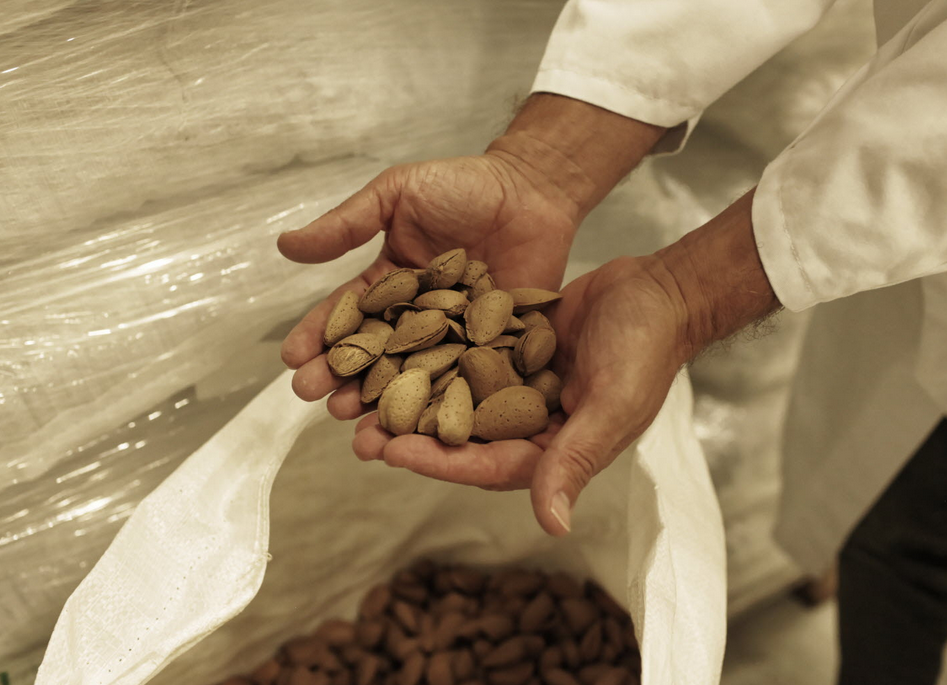 Agriculteur avec des amendes dans les mains